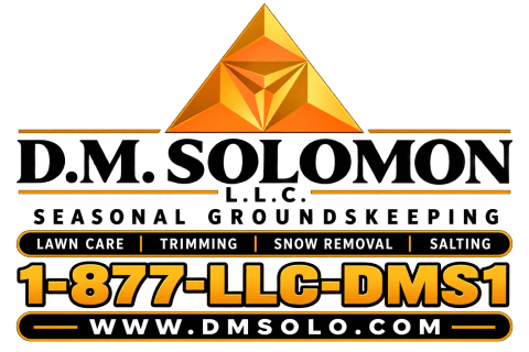    D.M. SOLOMON L.L.C. 
"Seasonal Groundskeeping"
