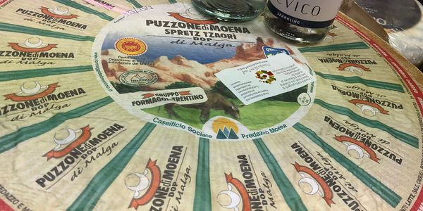 Formaggio Puzzone di Moena Dop di Malga Presidio Slow Food