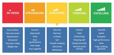 A chart showing emotional and physical states from crisis to excelling.