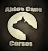 AldosCaneCorsos