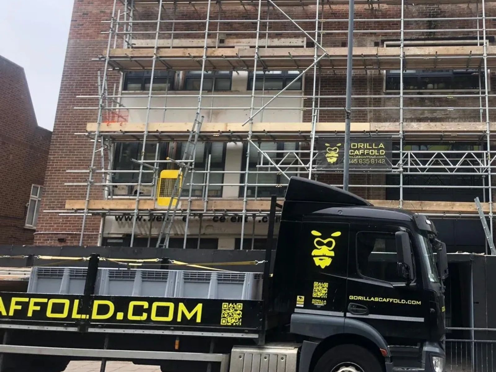 gorilla様 PUBLIC GENERAL143cm gorilla様 PUBLIC GENERAL143cm 楽天