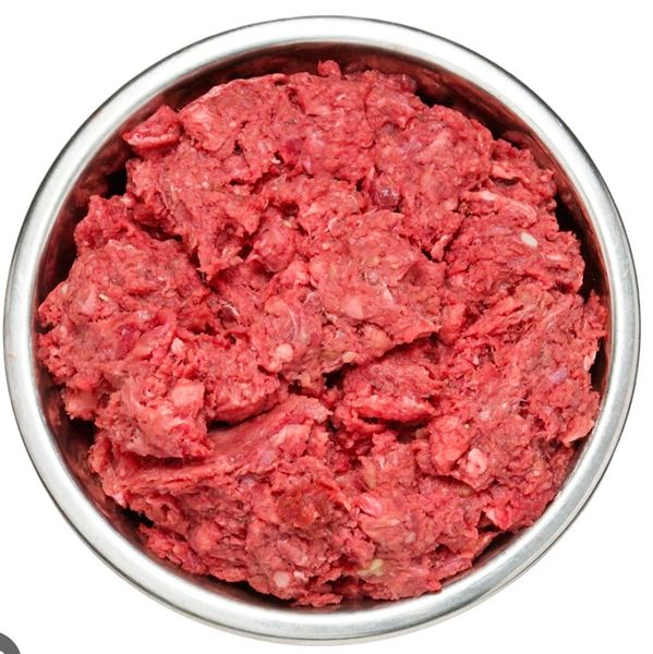 Dog Day Care and Boarding Services