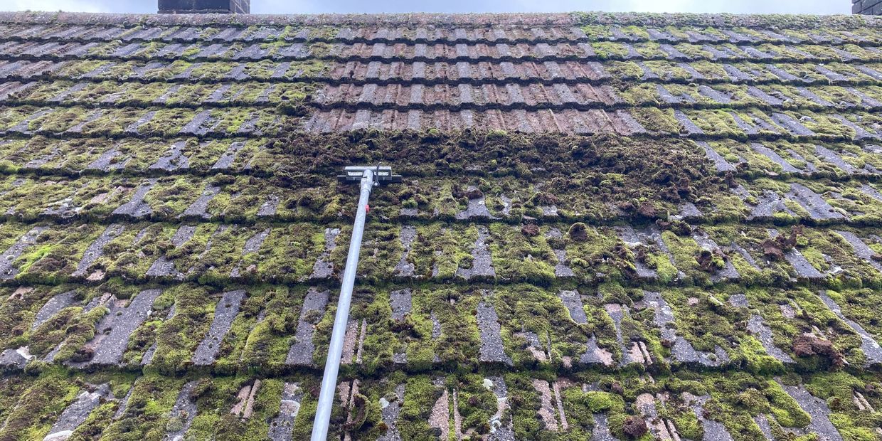 Partridge Exterior Cleaning Moss Cleaning near to Staffordshire and