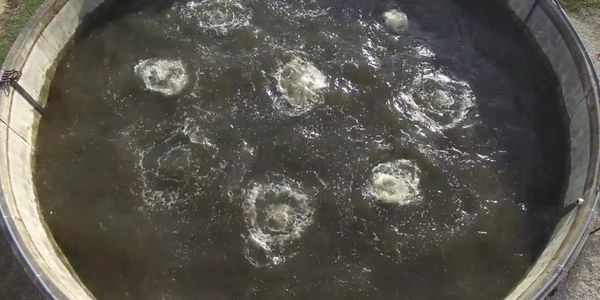 bubble mixing suspension anoxic anarobic efficient efficiency large big aeration coarse 