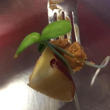 delicious juicy apple with peanut butter and sunflower shoot on a fork