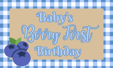 Sign saying "Baby's Berry First Birthday" with blueberries and blue gingham background.