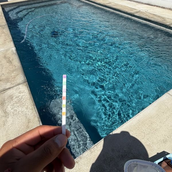 Hand holding a pool test strip near a swimming pool.