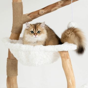 Fluffy cat lounging on a cozy white hammock attached to a wooden cat tree.