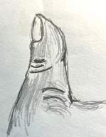 Ugly Thumbs Closet