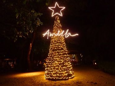 Christmas tree concept, Maldives 