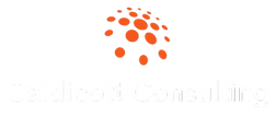 Caldicott Consulting