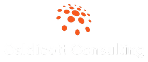 Caldicott Consulting