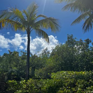 Castaway Cay, Bahamas, Disney Cruise Line