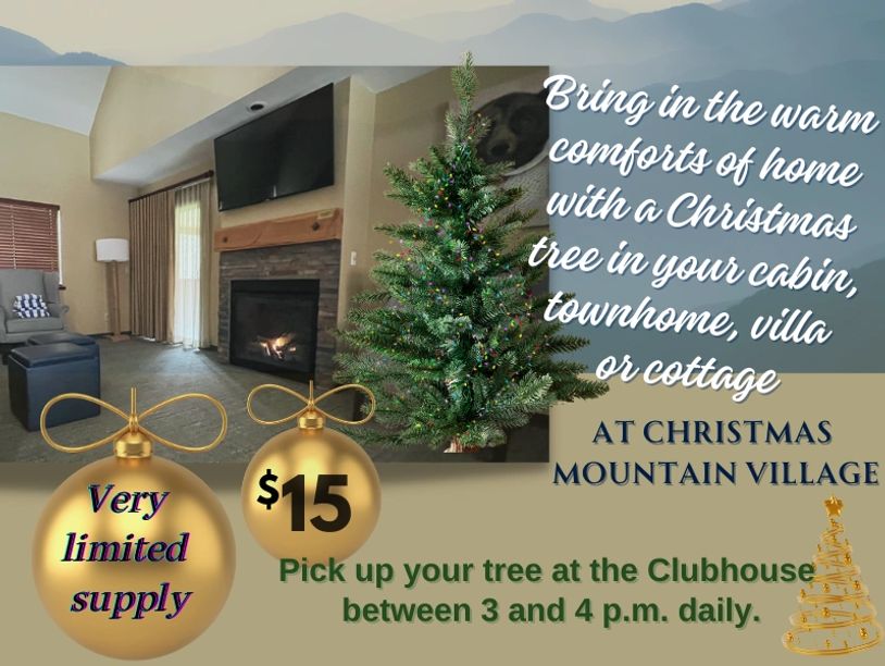 Christmas trees for $15 at Mountain Village clubhouse, limited supply.