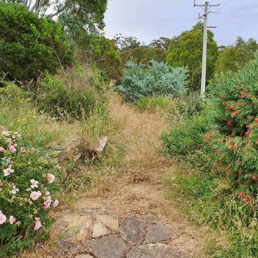 Weeding, slashing and pruning
