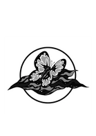 sea butterfly co - a STeeP originals LLC company