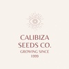 Calibiza Seeds 