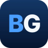 BIntel Group