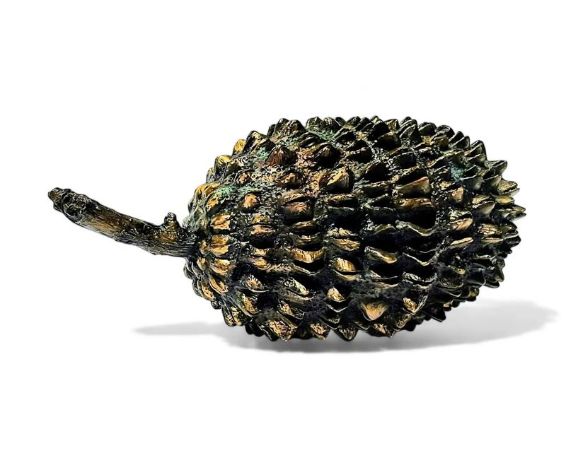 bronze sculpture of a She oak seed pod 40cm A Nixon