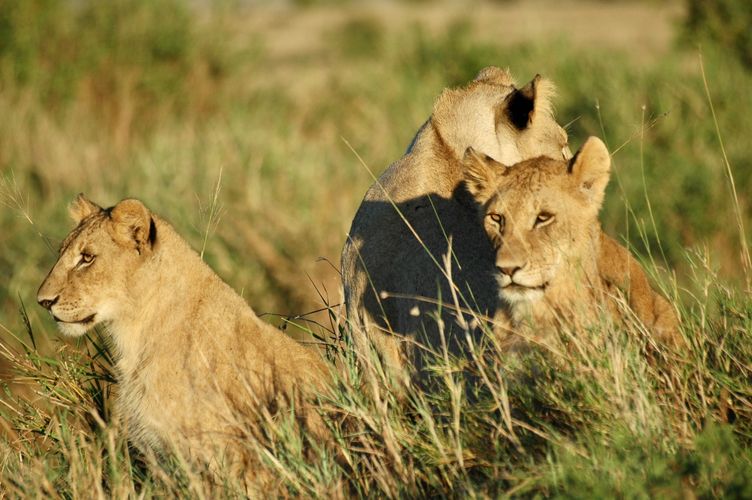 Petra Berksoy Photography in Kenya