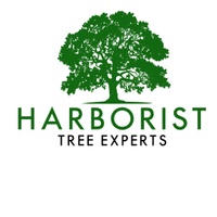 Harborist Tree Experts