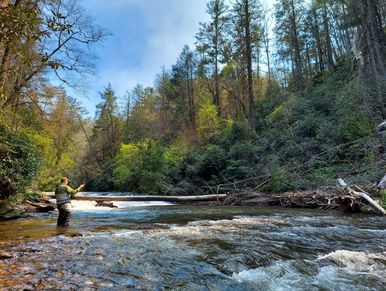 Blue Ridge Fly Fishing School, Blue Ridge GA