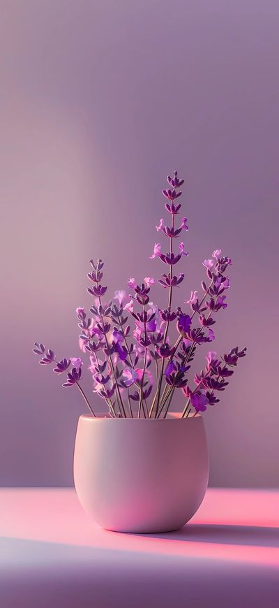 Tranquility