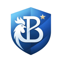 bonanza financial services 