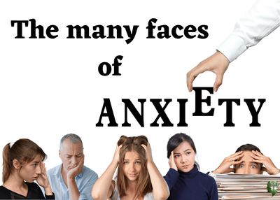 Rewiring the Anxious Brain: Neuroplasticity and the Anxiety Cycle: Anxiety  Skills #21 