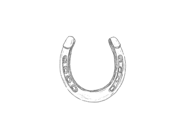 A single gray horseshoe on a black background.