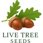 Live Tree Seeds