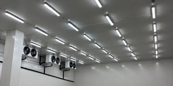 Interior of a large industrial cold storage room with ceiling fans and bright lights.