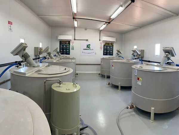 Para isso, disponibilizamos toda a estrutura necessária — seja um biorreator ou uma biofábrica