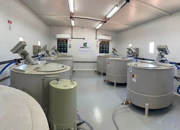 PRODUÇÃO ON FARM DE BIOINSUMOS EM BIOFÁBRICA NO SISTEMA ON FARM