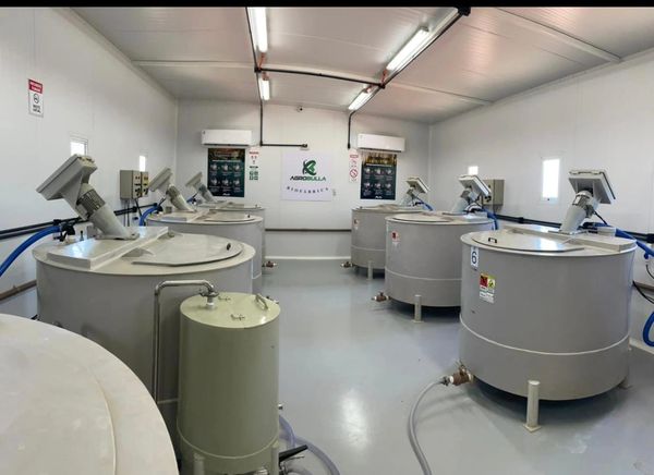 PRODUÇÃO DE BIOINSUMOS NA FAZENDA