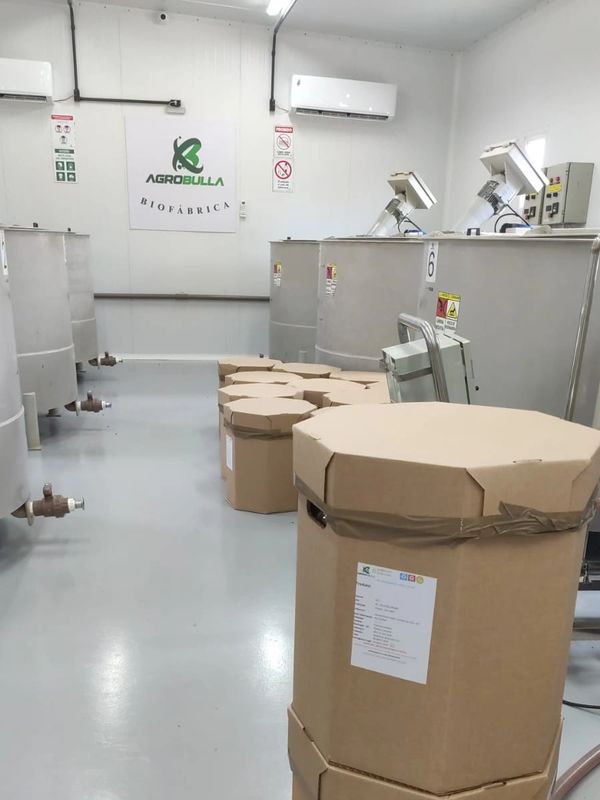 Biofábrica para produção de Bioinsumos no sistema ON FARM. AGROBULLA  inovação: o ON FARM PRONTO USO