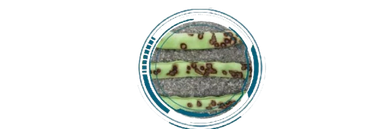 Antracnose (Colletotrichum lindemuthianum; Colletotrichum gloeosporioides). 
Doenças de final de cic