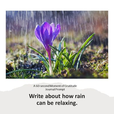 Picture of rain with purple flower - journal prompt how rain can be relaxing. 