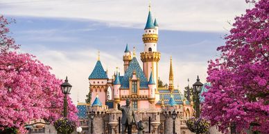 Disneyland Resort