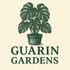 Indoor/outdoor plants