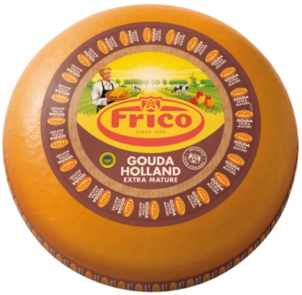 Wheel of Frico aged gouda cheese
