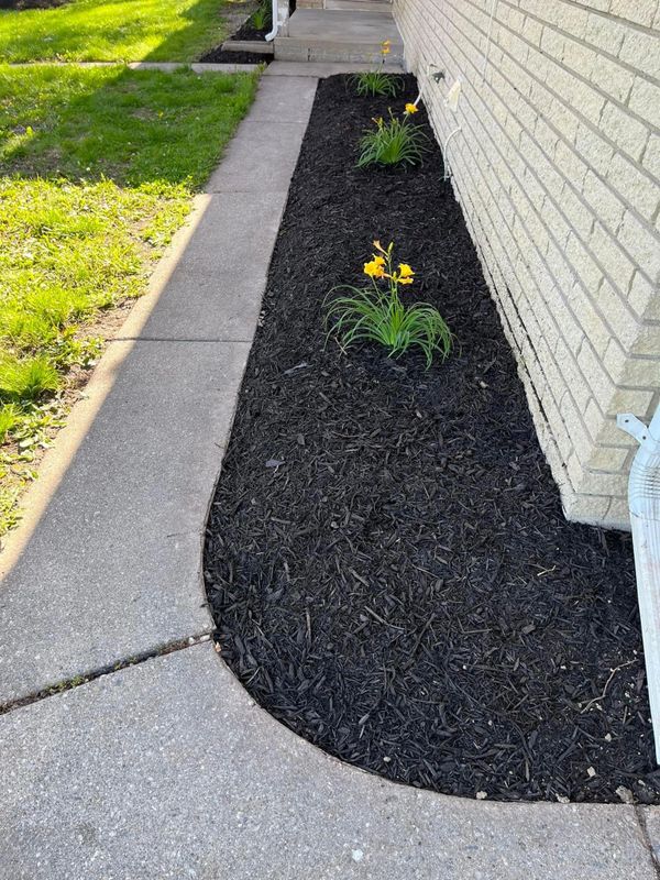 After landscape project.