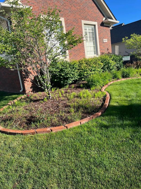 Before landscape project.