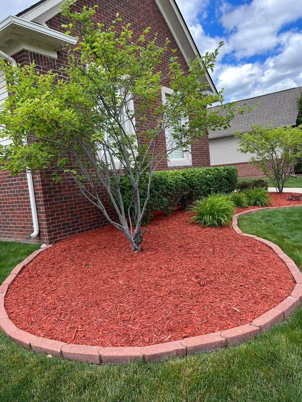 After landscape project.