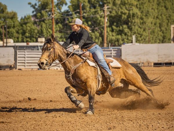 A rider skillfully maneuvers a horse in a dusty arena.