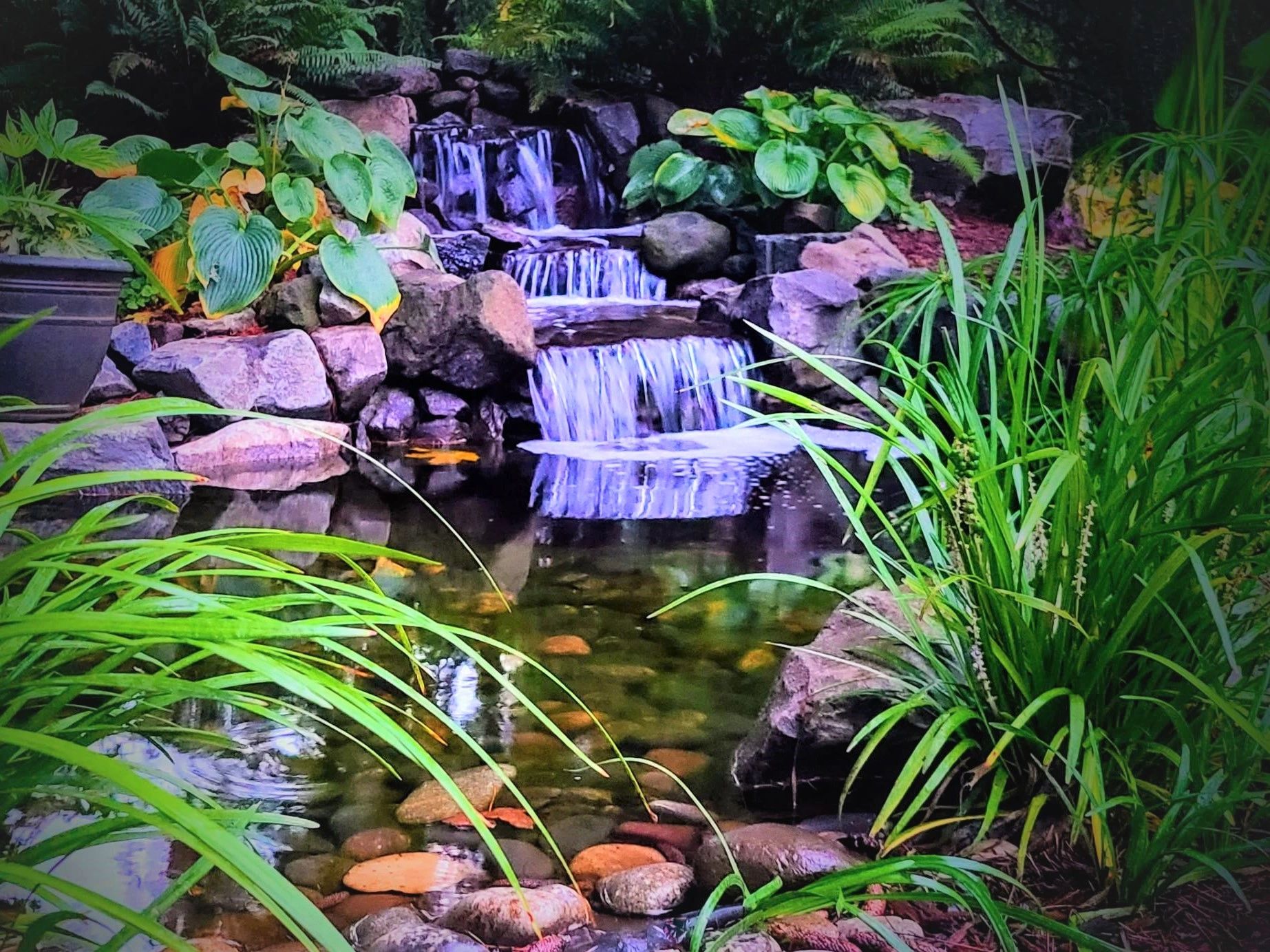 Pond / Waterfall Building, image size:1845x1383