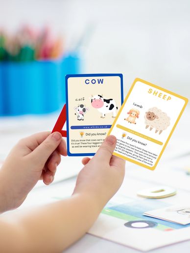  Learning Flashcards!, erfect for toddlers and preschoolers to master ABCs, 123s, and more.