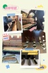 MovingQueen 搬琴皇后
一條龍服務🚚即日調音/維修/清潔/翻新/棄置
 全年365日為你的搬琴隨時候命
免費報價✅