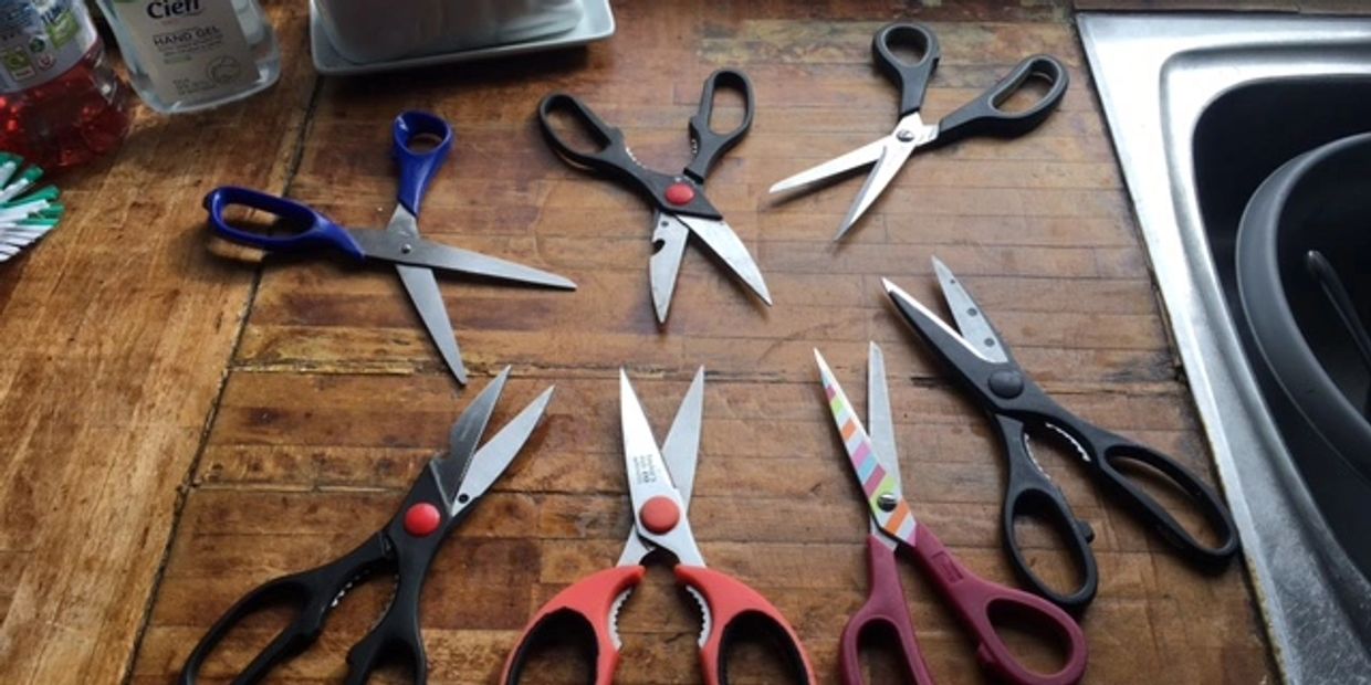 A selection of General Purpose / Kitchen Scissors