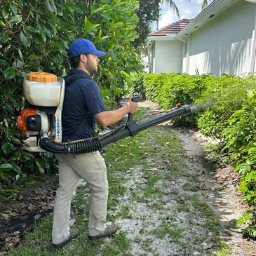 Termidor treatment services that gives a stronger pesticide application that knocks down all bugs.